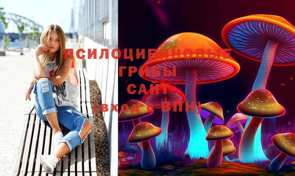 дурь Алексеевка