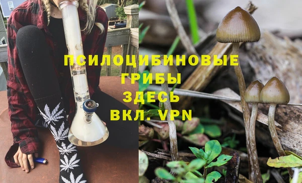 меф Алексин