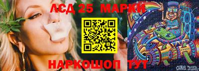 крисы Гагарин