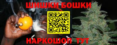 крисы Гагарин