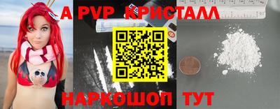крисы Гагарин