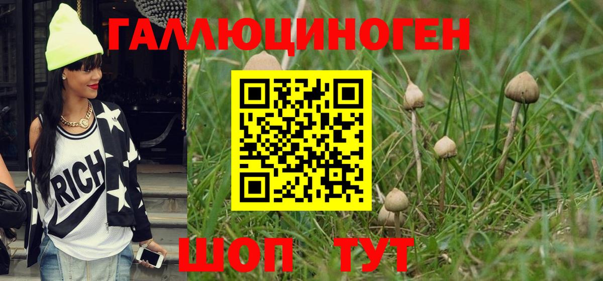 Псилоцибиновые грибы MAGIC MUSHROOMS  Вход с VPN  Псилоцибиновые грибы Psilocybine cubensis  Усинск 